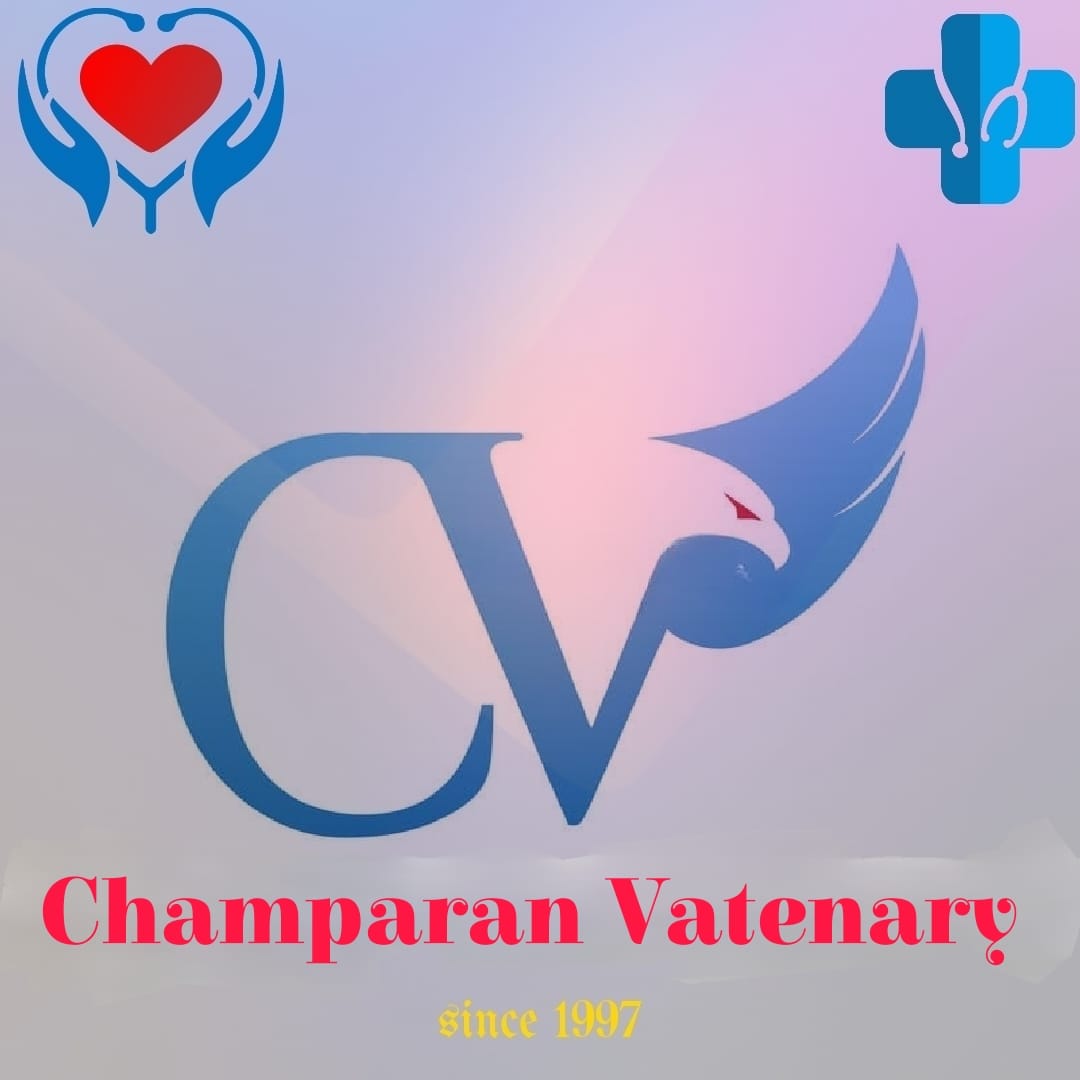 Champaran Vatenary